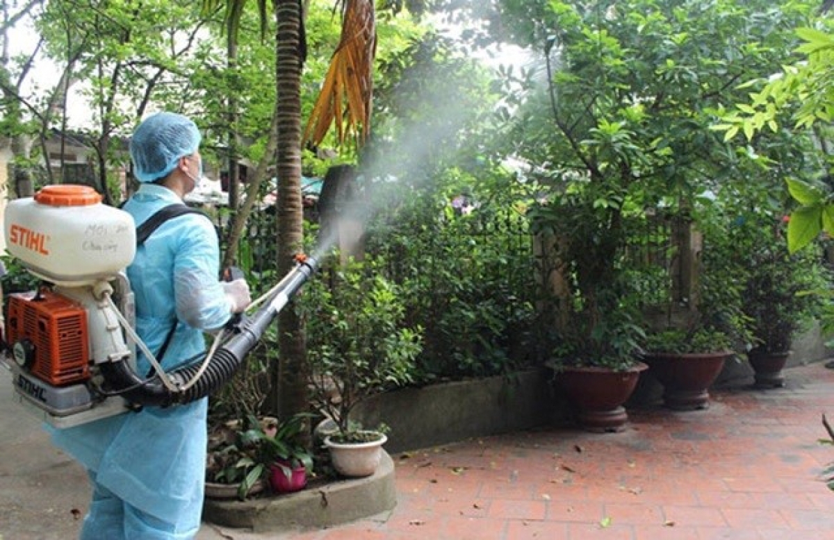 Tổ chức các chiến dịch vệ sinh môi trường diệt bọ gậy phòng chống sốt xuất huyết một cách triệt để