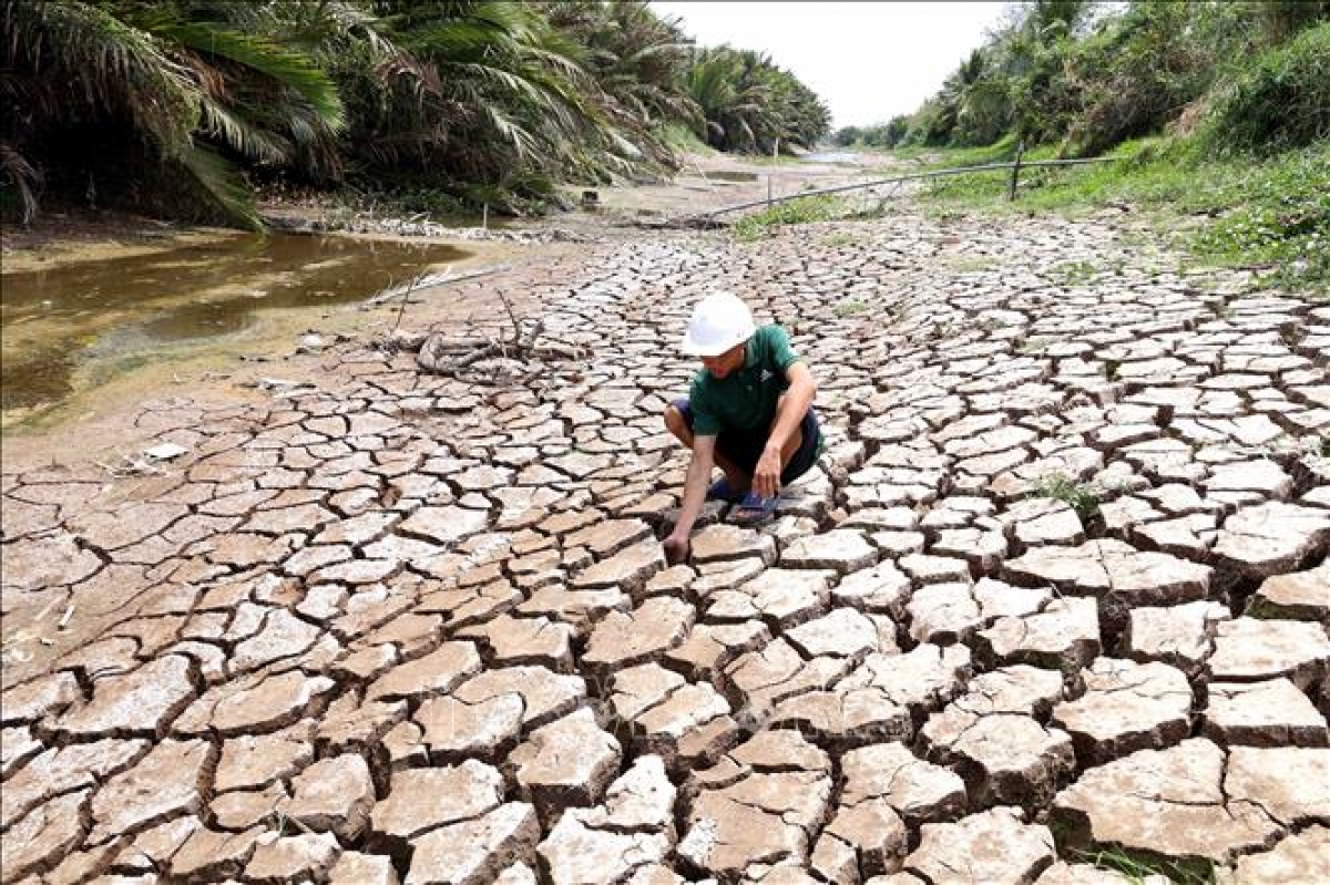Việt Nam là 1 trong 5 nước ảnh hưởng nặng nề bởi biến đổi khí hậu