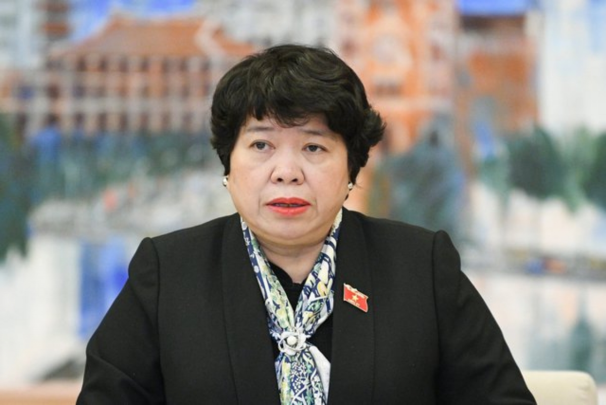 Chủ nhiệm Ủy ban Xã hội Nguyễn Thúy Anh phát biểu.