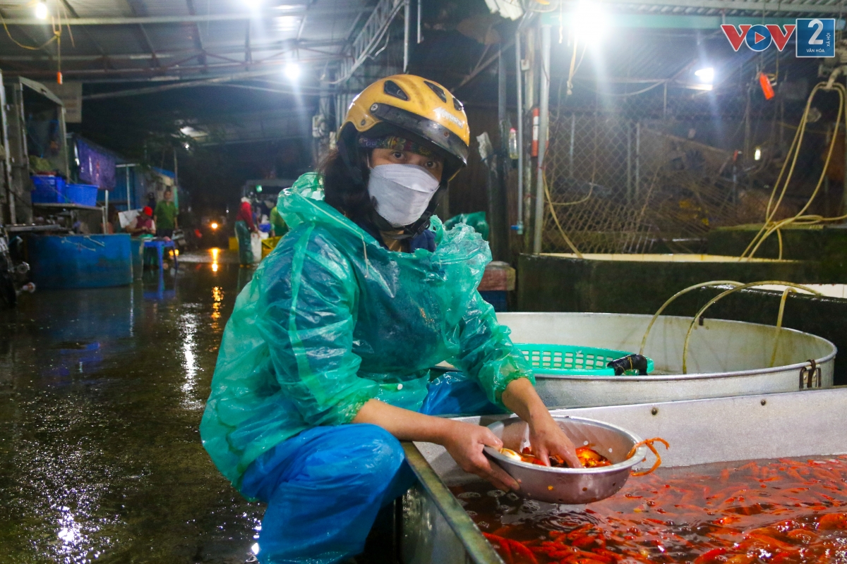 Chị Nguyễn Thị Ngần (thôn Liễu Ngoại, xã Khánh Hà, Thường Tín, Hà Nội): “Hôm nay tôi đến chợ cá từ 4h sáng để nhập cá về bán. Giá cả năm nay rẻ hơn mọi năm, cá đẹp, đỏ tươi”.