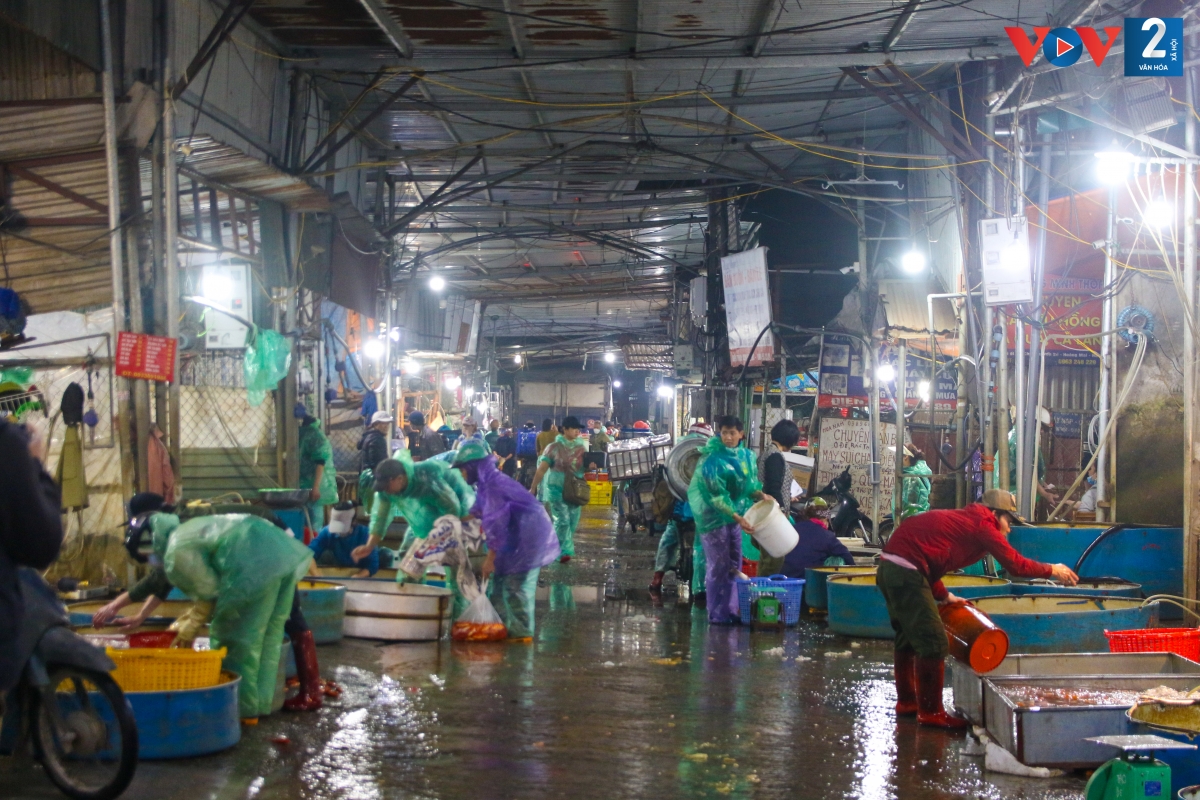 Theo ghi nhận của phóng viên VOV2, từ 4h sáng nay (13/1), hàng trăm tiểu thương từ các chợ lớn nhỏ khác trên địa bàn thành phố đã đổ về đây mua cá.