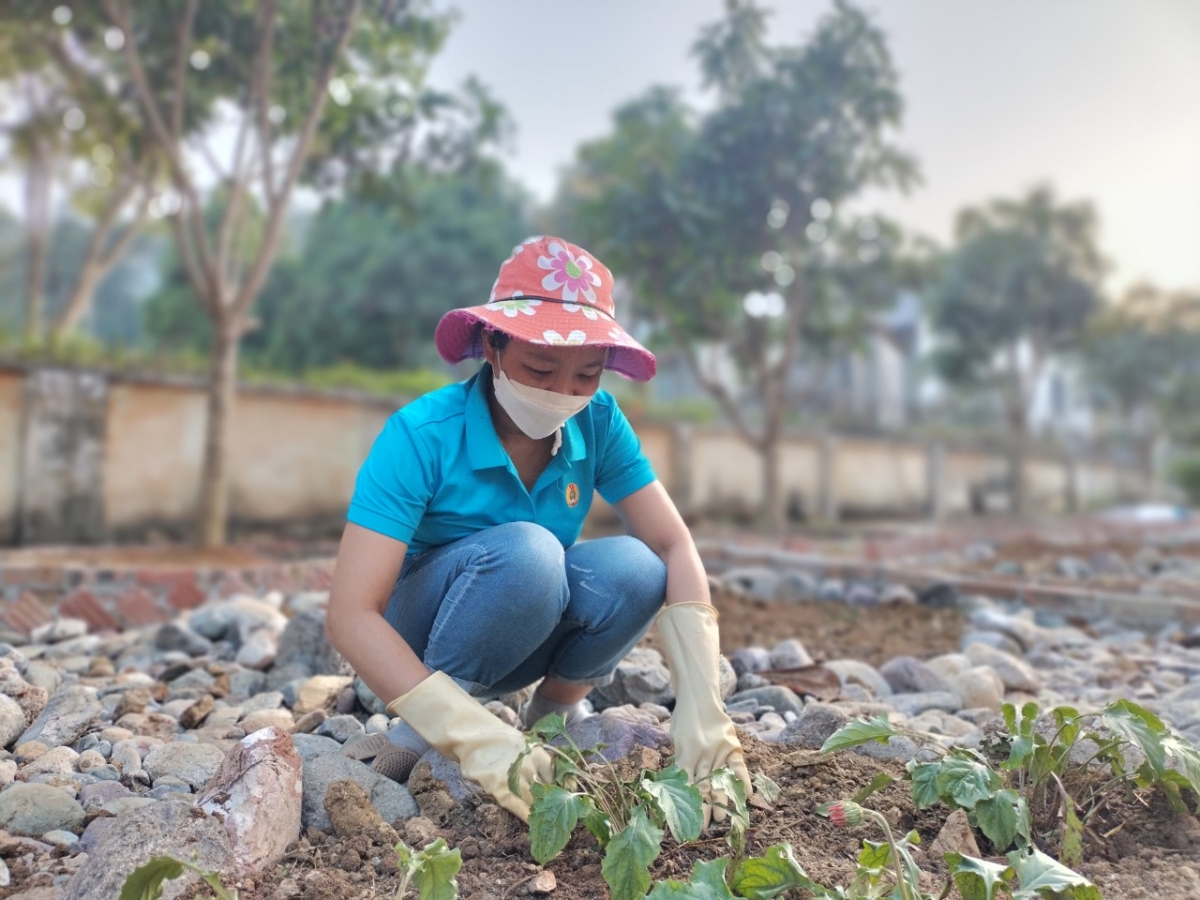 Cô Đồng Thị Phương, Trường Tiểu học-Trung học cơ sở Mường Trai (Mường La, Sơn La) chăm sóc vườn hoa của trường chuẩn bị đón Tết Nguyên đán Quý Mão.