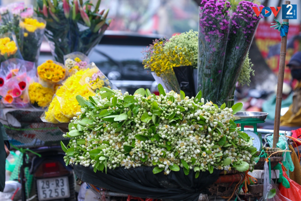 Loài hoa trắng bình dị khiêm nhường với hương thơm đặc trưng được coi là đặc sản của Hà Nội.