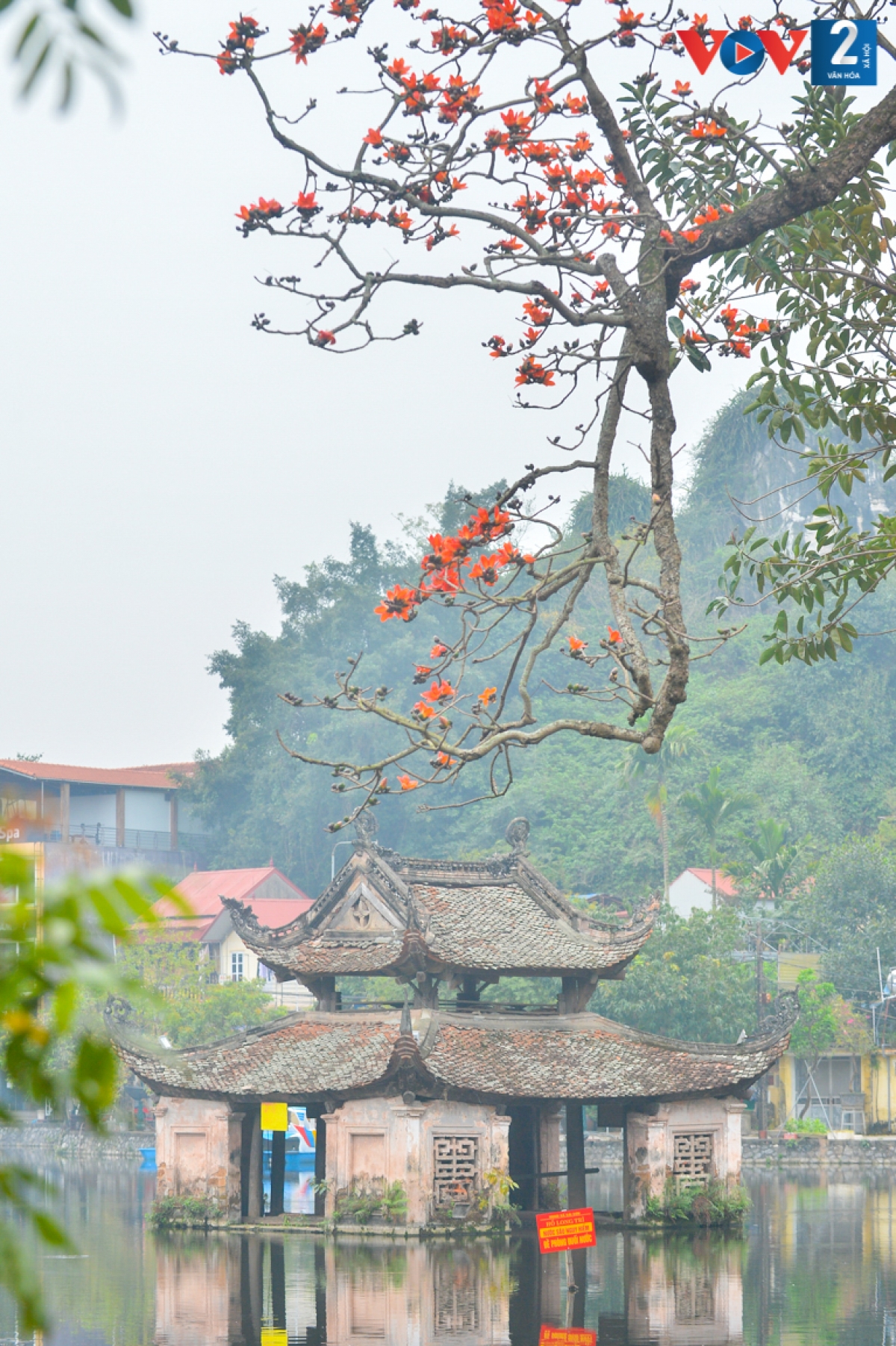 Rời nội thành về chùa Thầy (xã Sài Sơn, huyện Quốc Oai, TP Hà Nội) để ngắm cây gạo cổ thụ bắt đầu nở hoa. Một nét đẹp rất riêng trong không gian ngôi chùa cổ kính.