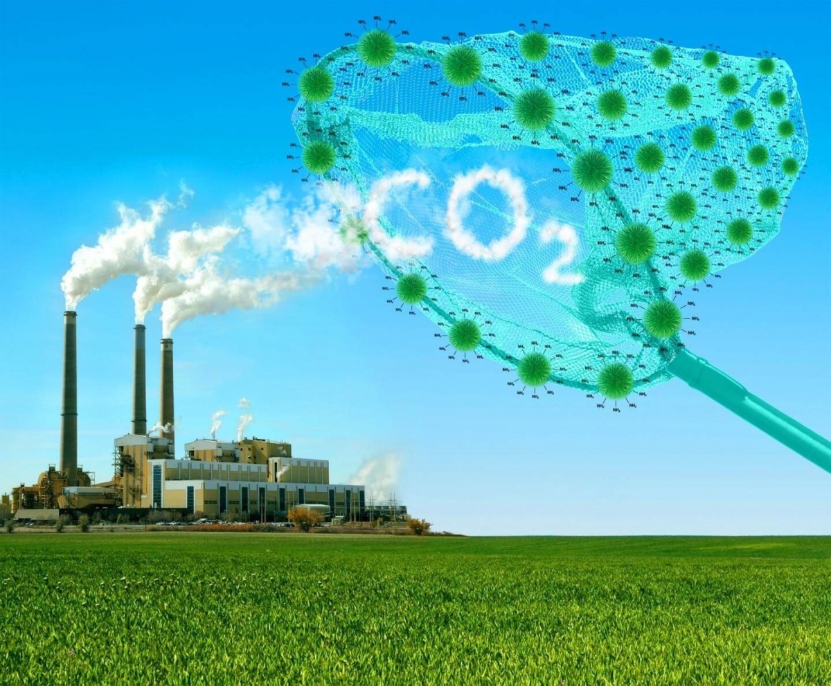 Giảm khí thải để bảo vệ môi trường sống