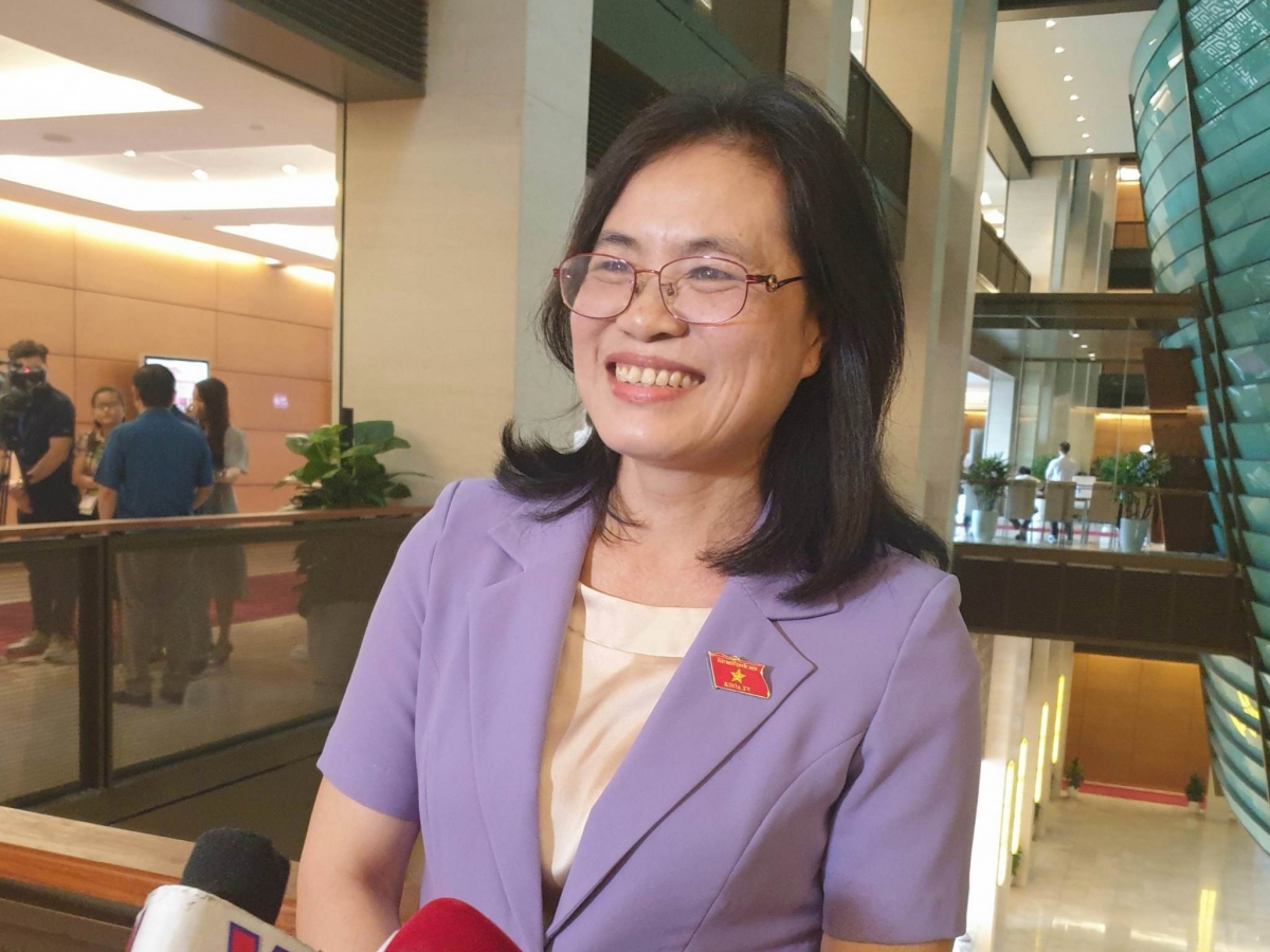 Đại biểu Nguyễn Thị Hồng Hạnh, Đoàn đại biểu Quốc hội TPHCM