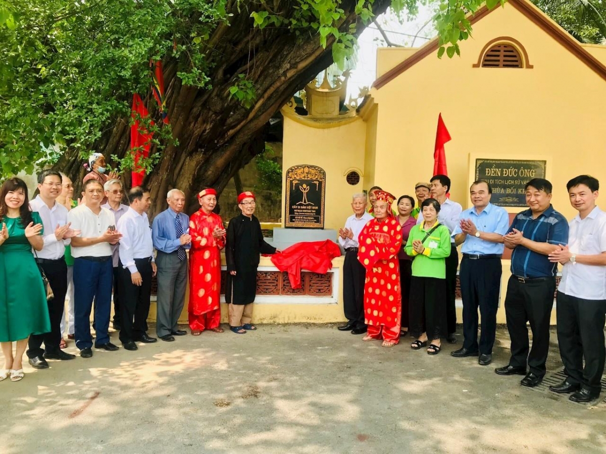 Cây bồ đề trong chùa Bối Khê được công nhận Cây di sản Việt Nam