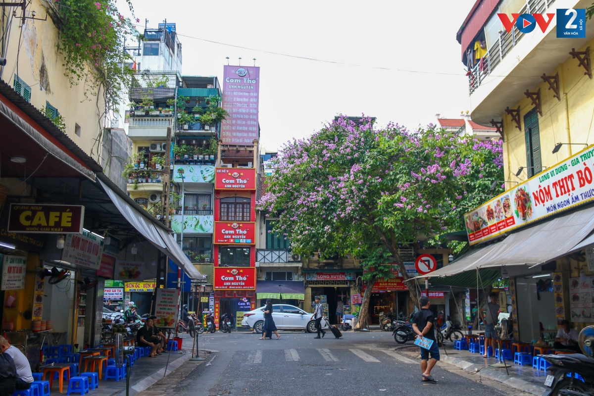 Màu tím bằng lăng điểm xuyết ở những con phố nhỏ, tạo cảm giác yên bình giữa chốn phồn hoa đô thị