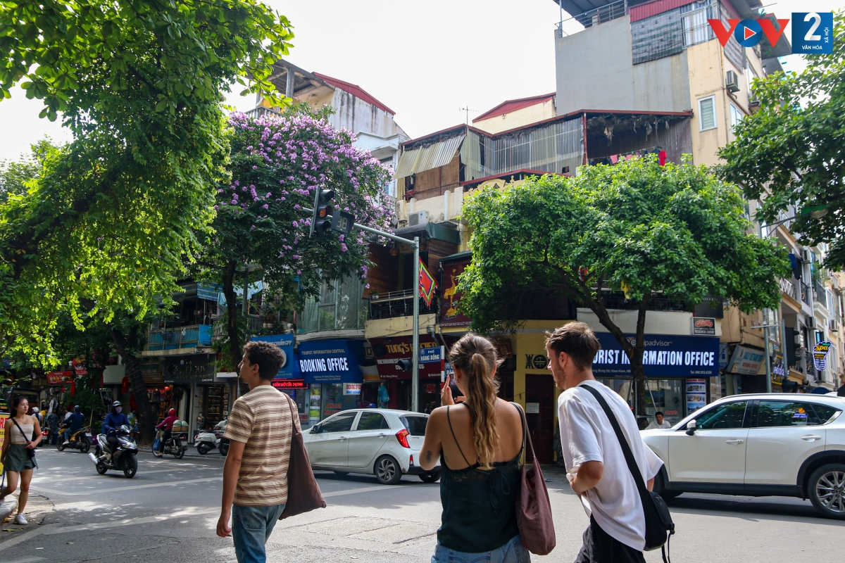 Màu tím bằng lăng dường như làm cho đường phố thêm thơ mộng, vơi đi phần nào những ồn ào nơi phố thị.