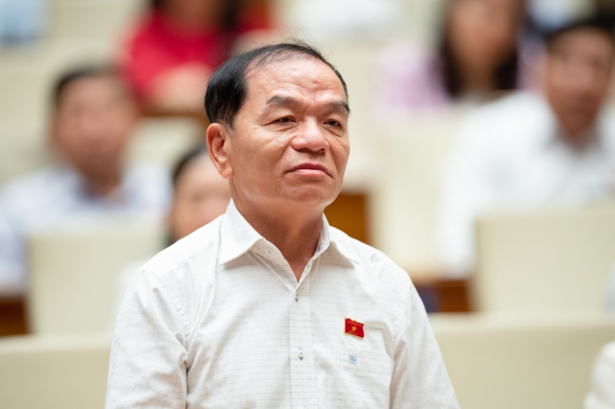 Đại biểu Lê Thanh Vân - Đoàn đại biểu Quốc hội tỉnh Cà Mau