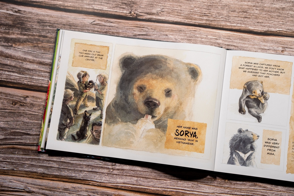 Hình ảnh trong cuốn sách Chang hoang dã – Gấu bản in của Nhà xuất bản Kim Đồng