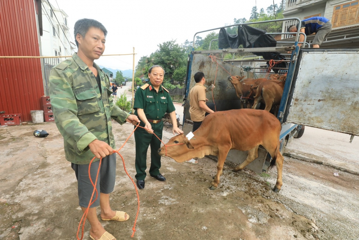 Trung tướng Phạm Ngọc Khóa trao tặng bò cho các nạn nhân bom mìn ở huyện Đình Lập. Ảnh: Lâm Khánh