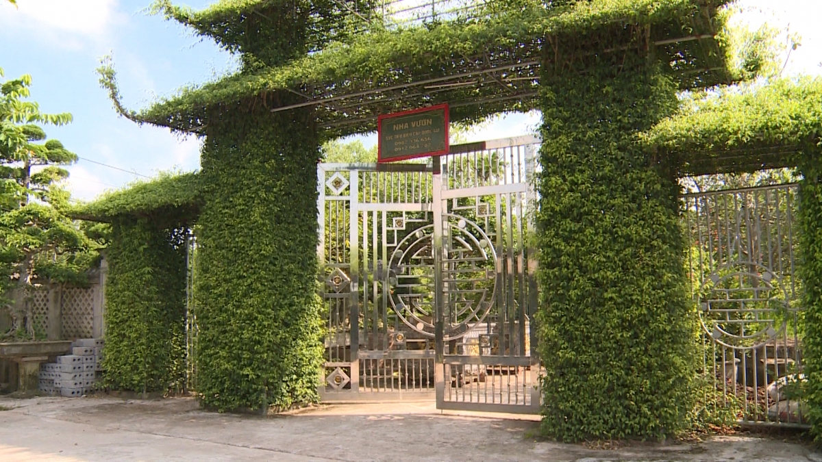 Bách Thuận nổi tiếng với những nhà vườn xanh mướt