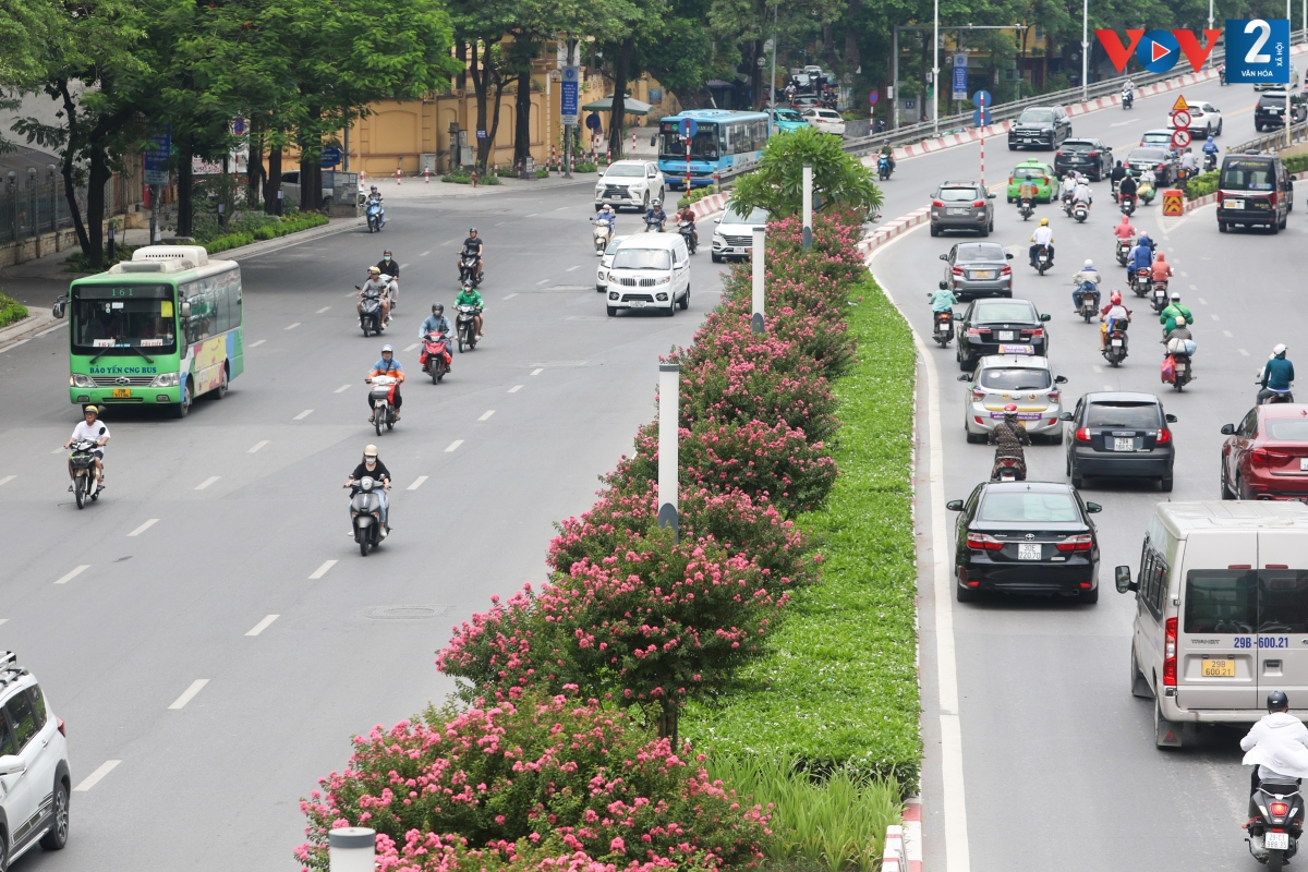 Từ giữa năm 2017, dải phân cách giữa 2 tuyến phố Trần Duy Hưng và Nguyễn Chí Thanh được trồng 3 tầng cây xanh với nhiều loại cây khác nhau. Tầng trên cùng là cây phong, tầng giữa là hoa tường vi cánh mỏng màu hồng và tầng dưới cùng là các loài hoa, như: Râm bụt, trang đỏ,…