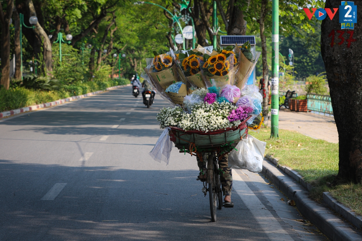 Dưới ánh nắng nhạt, những gánh hàng hoa như đang chở cả mùa thu Hà Nội dạo khắp phố phường.