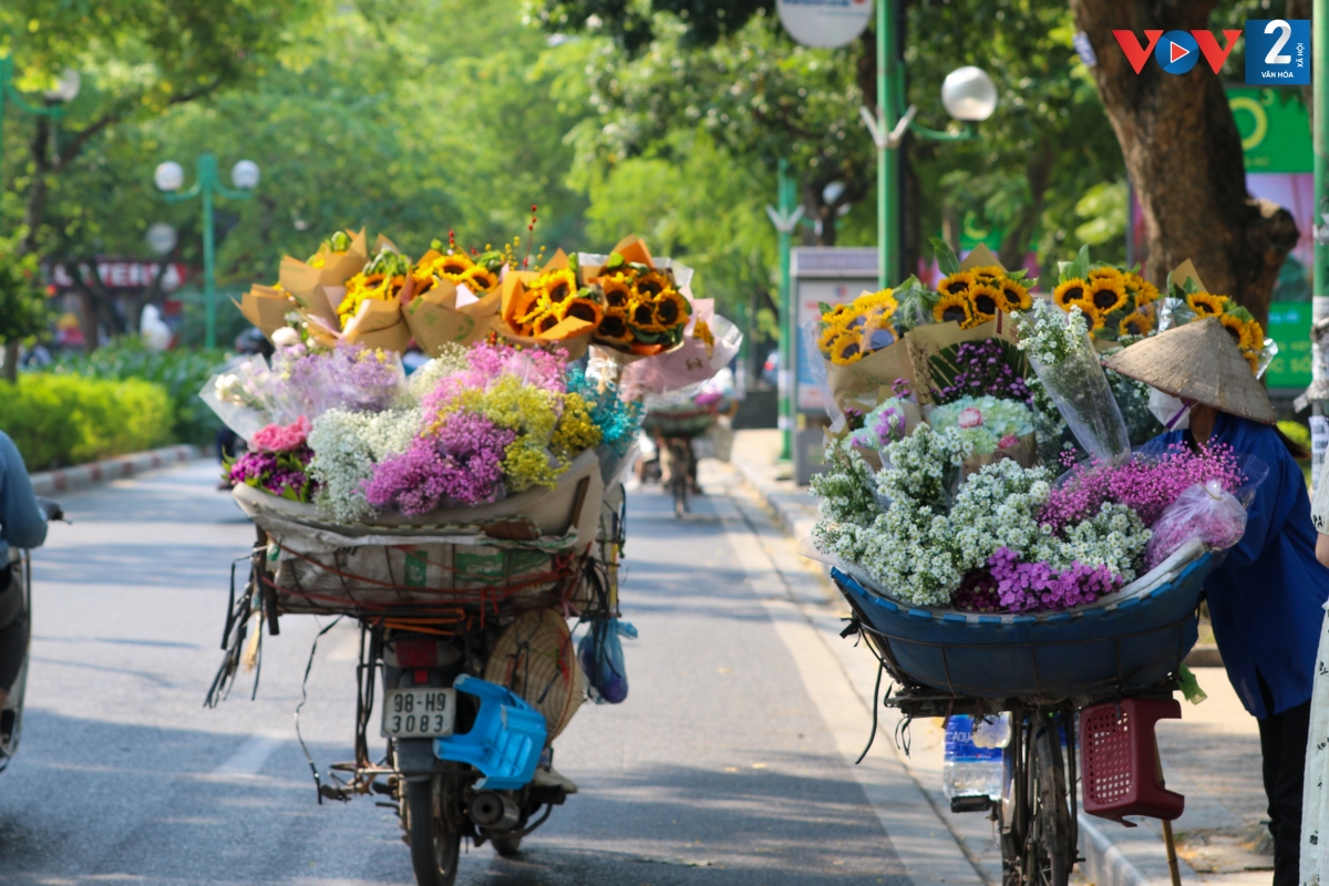 Hà Nội 12 mùa hoa. Hình ảnh những giỏ hoa trên các con phố Hà Nội từ lâu đã trở nên quen thuộc nhưng chưa bao giờ hết lãng mạn.