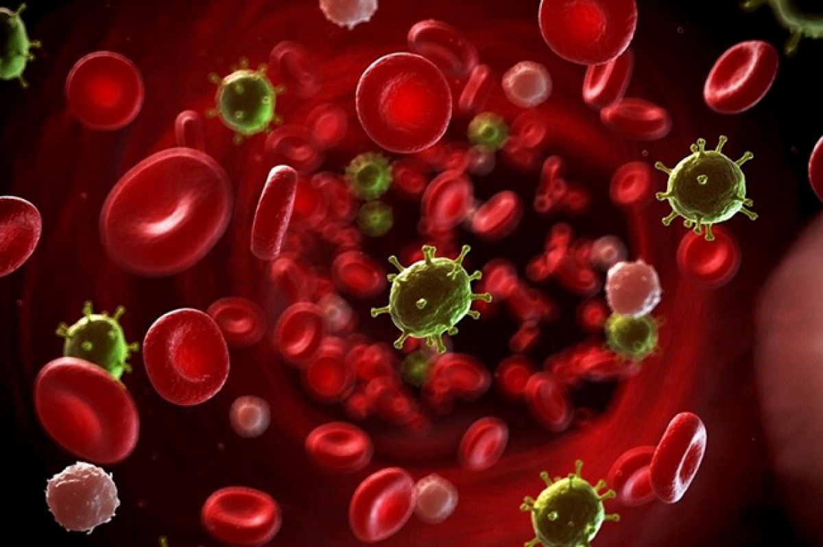 Nhiễm trùng huyết xảy ra khi virus, vi khuẩn, nấm, ký sinh trùng xâm nhập vào máu