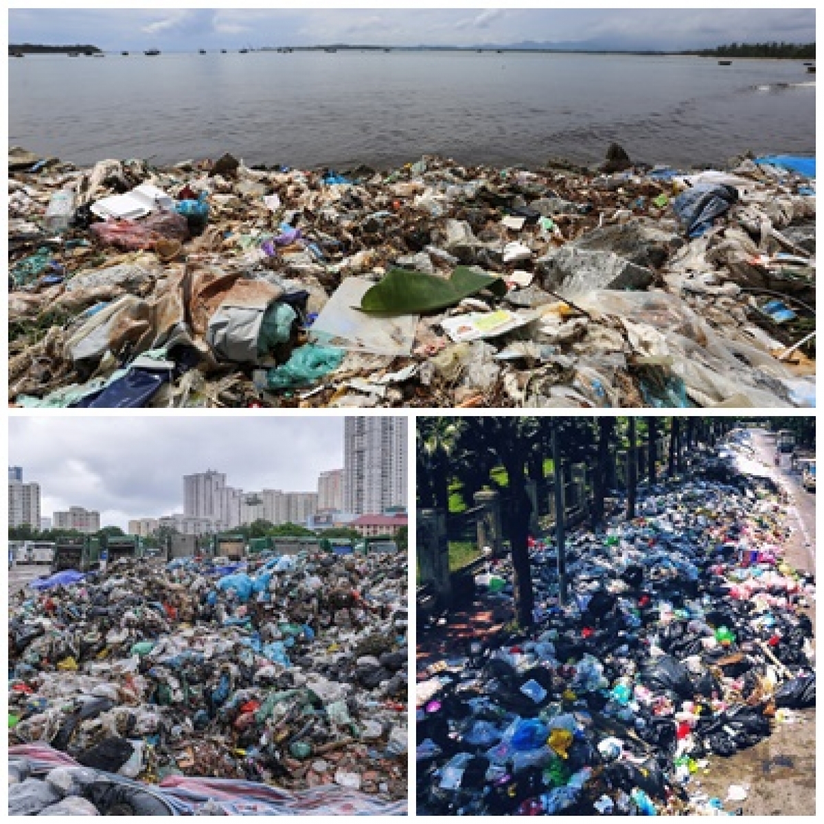 Lượng rác thải sinh hoạt ngày càng tăng