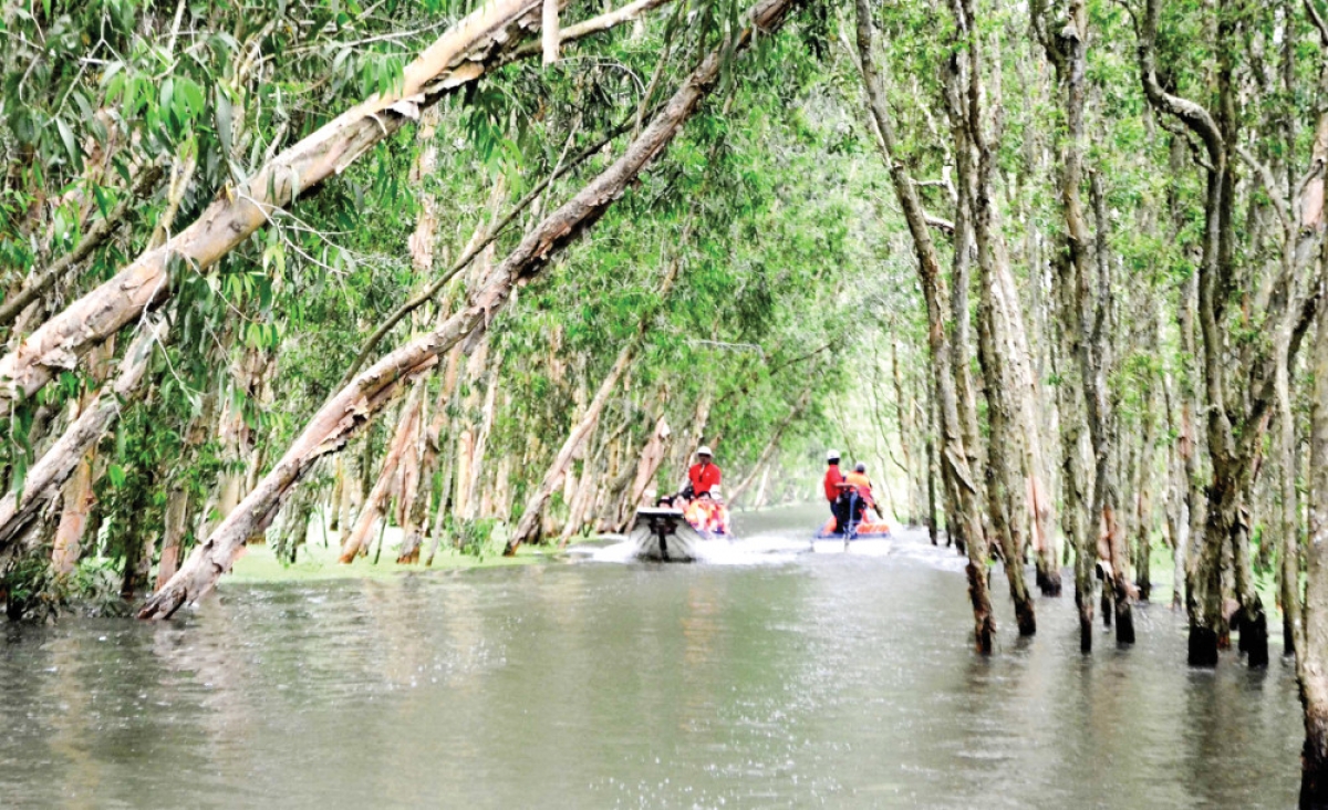 Du lịch xanh là định hướng phát triển không chỉ riêng Việt Nam mà trên toàn thế giới