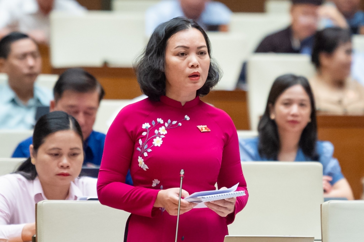 Đại biểu Huỳnh Thị Phúc, Đoàn đại biểu Quốc hội tỉnh Bà Rịa - Vũng Tàu