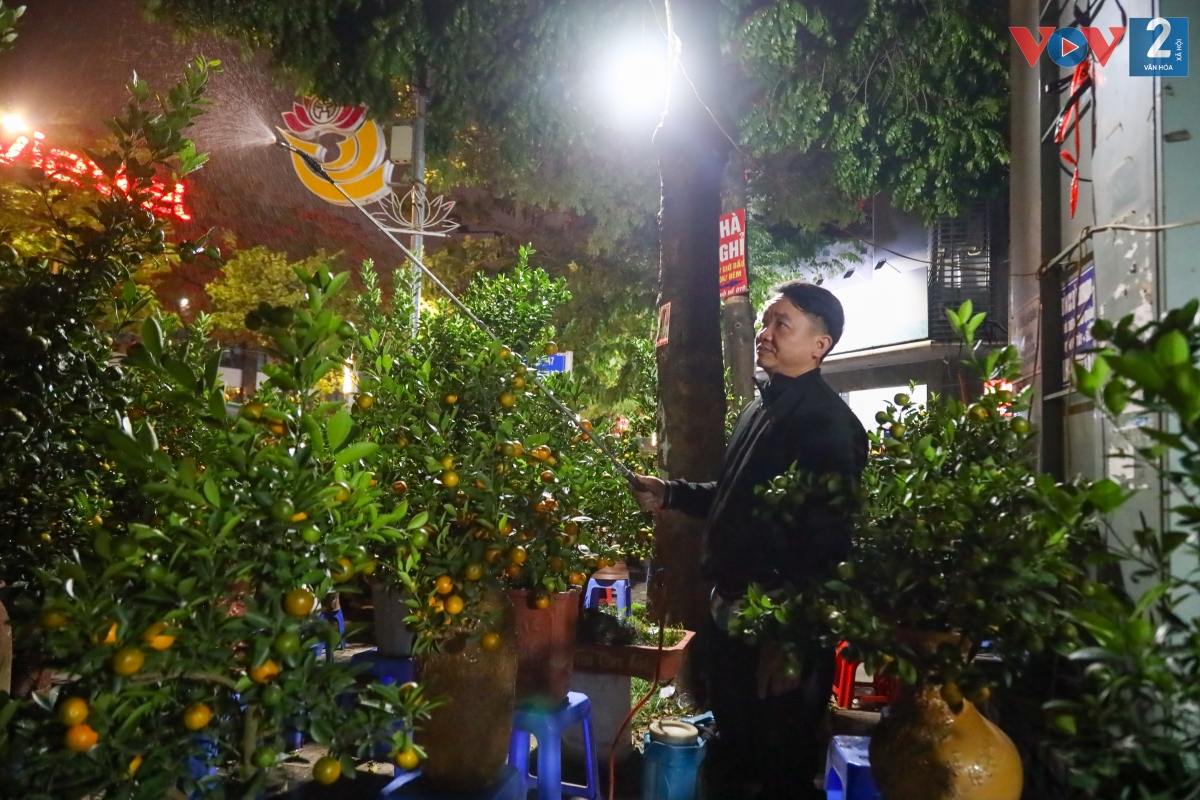 Anh Nguyễn Khắc Dự, một chủ vườn đến từ Hưng Yên cho biết, đã lên Hà Nội được 2 ngày nhưng gặp đúng đợt rét đậm nên chưa bán được cây nào.