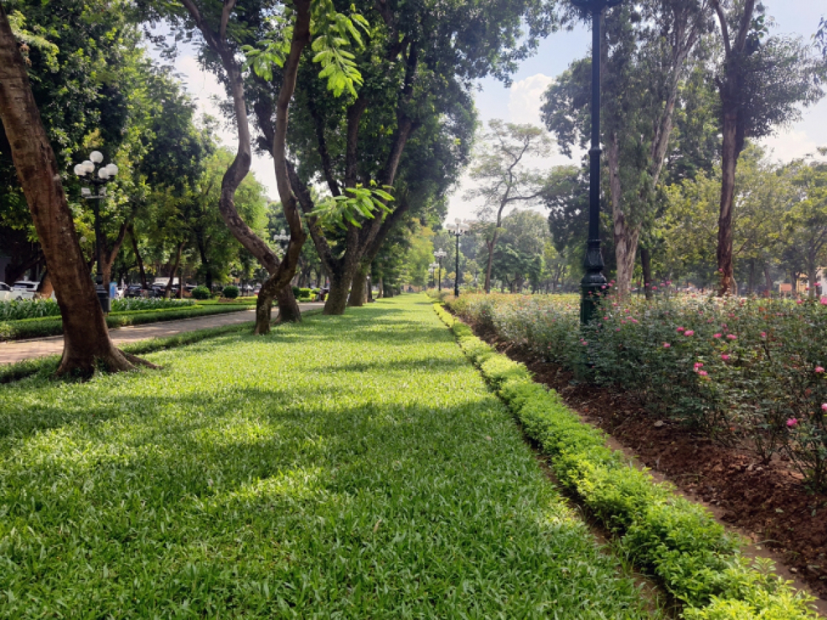 Vị trí hàng rào cũ của công viên Thống Nhất phía đường Trần Nhân Tông đã được trồng cỏ và hoa