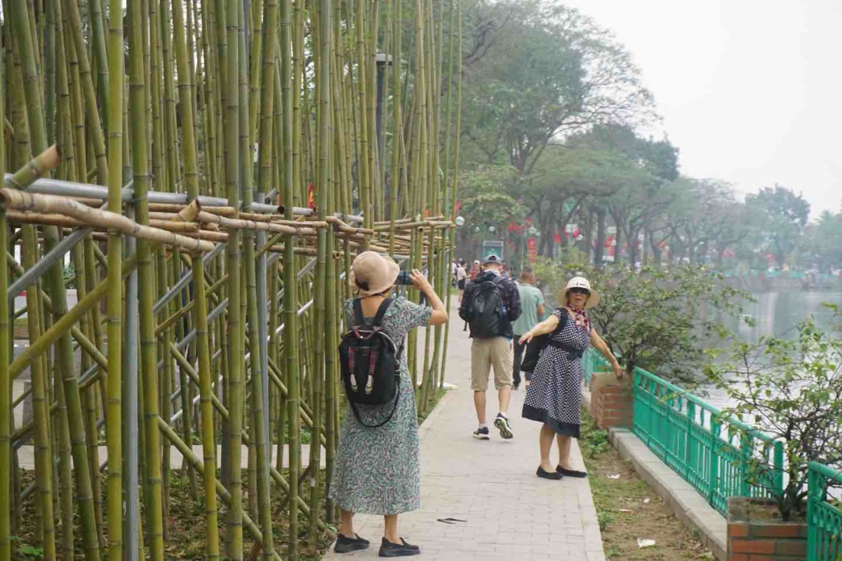 Khu vực vườn trúc trở thành điểm "check in" của nhiều người dân và khách du lịch.