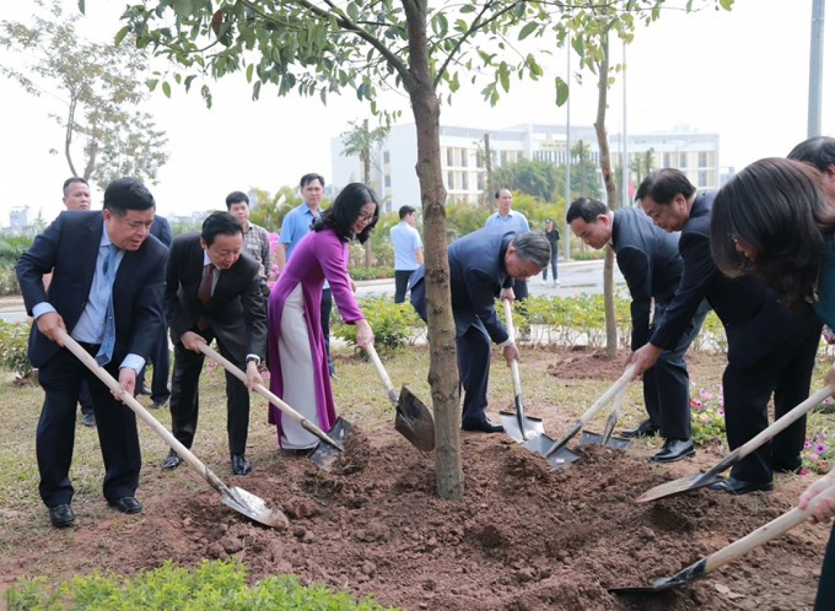 Tổng Bí thư, Chủ tịch nước Tô Lâm trồng cây lưu niệm tại HVNN Việt Nam 