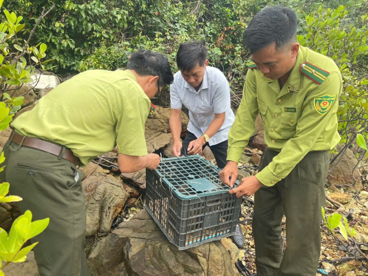 Cát Bà có đặc điểm có cả sinh thái rừng, cả sinh thái biển nên công tác bảo vệ rất nặng nề