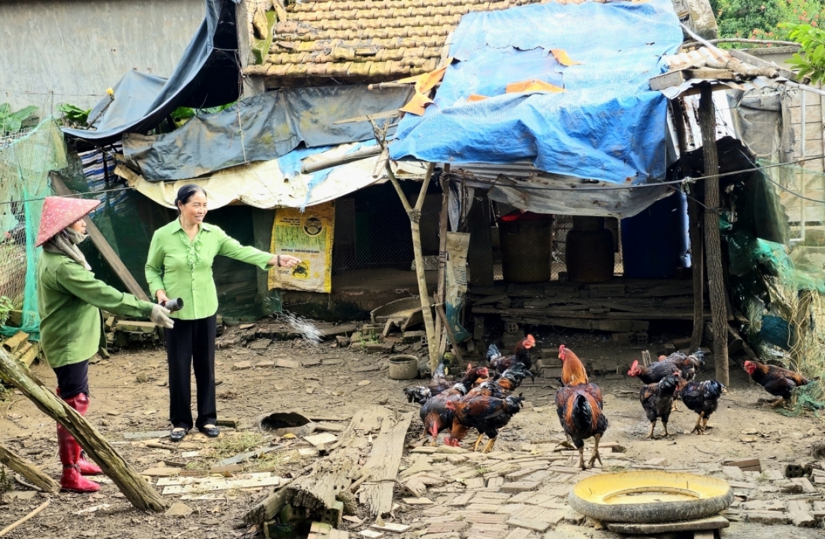 Mô hình chăn nuôi, trồng trọt được nhiều người cao tuổi lựa chon khi được vay vốn từ "CLB Liên thế hệ tự giúp nhau" (Ảnh minh họa)