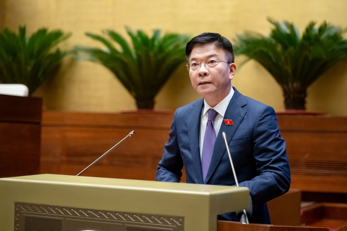 Phó Thủ tướng Chính phủ Lê Thành Long trình bày Tờ trình.