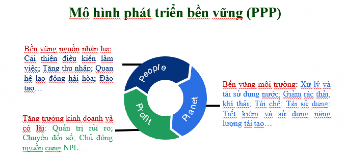 (Nguồn: VITAS)