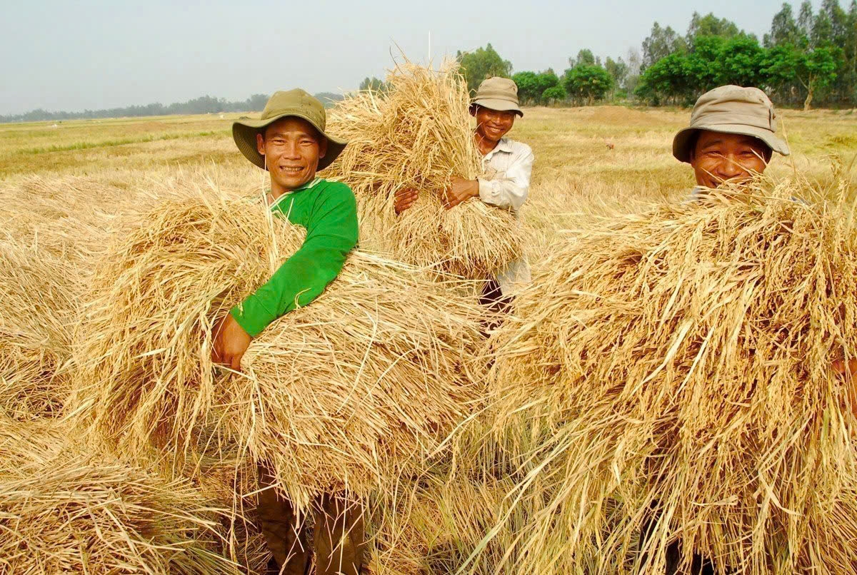 ABIC đã nhanh chóng chi trả bảo hiểm cho các khách hàng bị thiệt hại nặng nề do bão Yagi