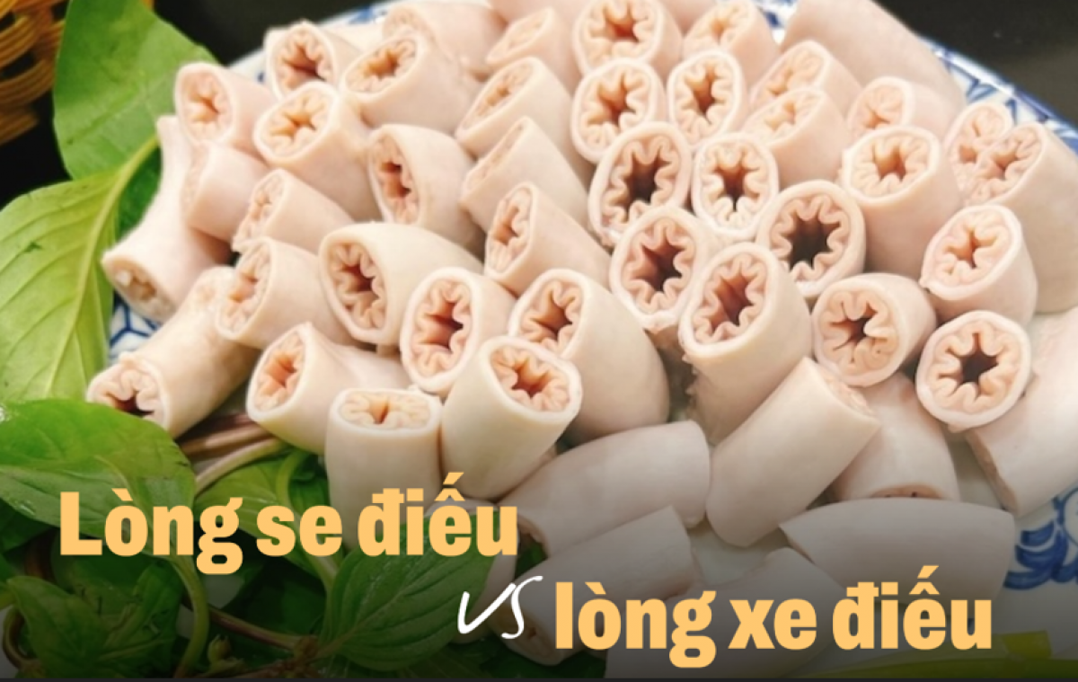 (Ảnh: nguồn Internet)