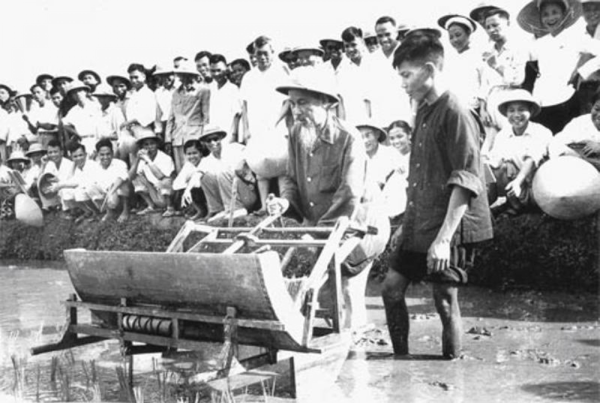 Chủ tịch Hồ Chí Minh với máy cấy lúa - Năm 1960. Ảnh Tư liệu
