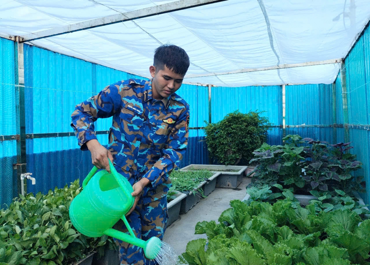 Chiến sĩ Nguyễn Quốc Thắng chăm sóc vườn rau của đơn vị