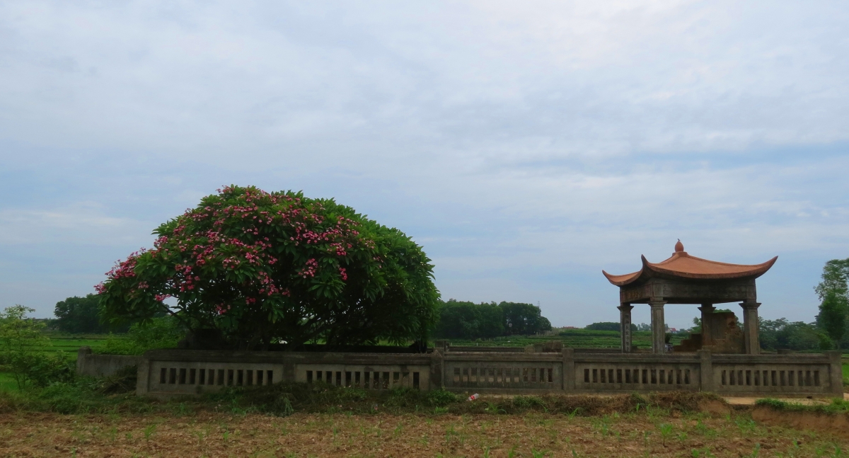 Ngôi mộ của Thám hoa Giang Văn Minh tại làng Kẻ Mía, thôn Mông Phụ (xã Đường Lâm, thị xã Sơn Tây, Hà Nội). Ảnh: Tư liệu
