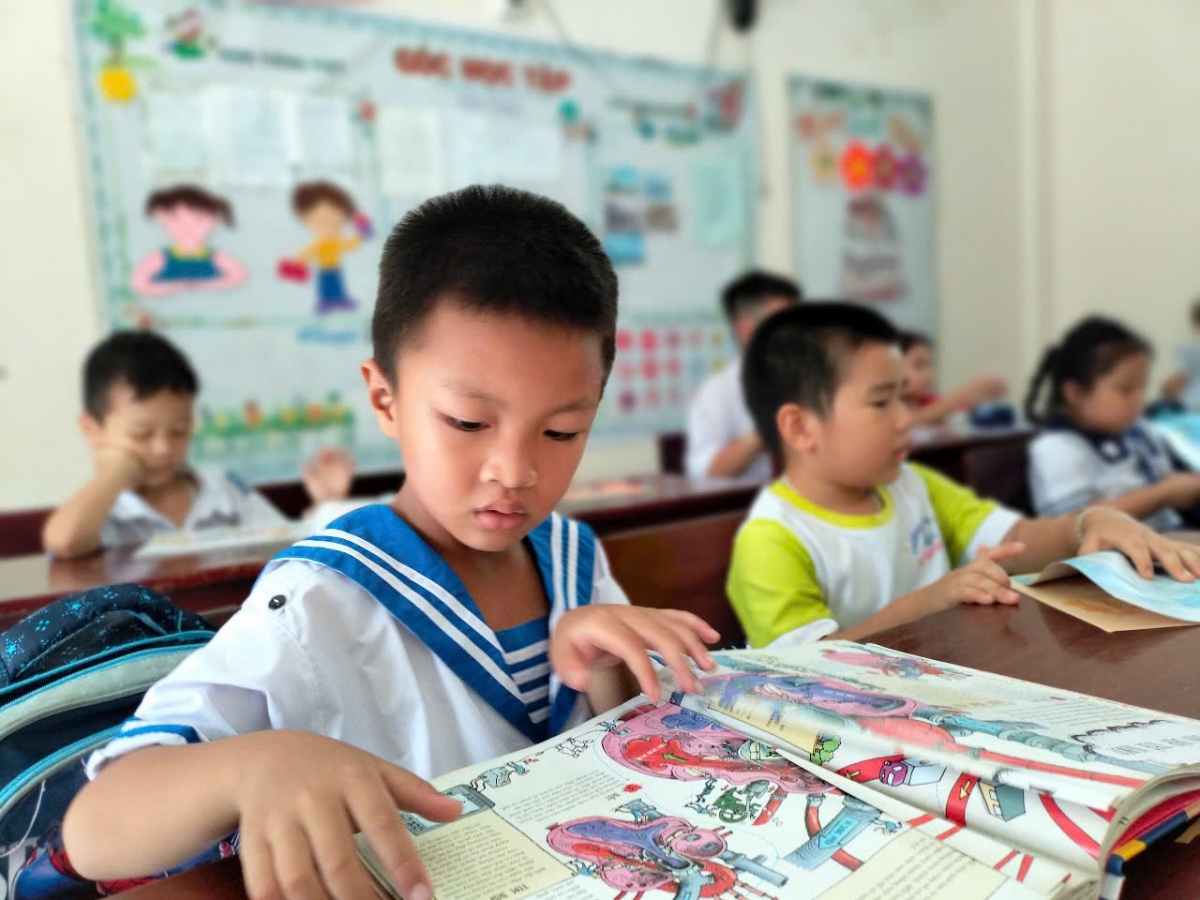 Những mầm xanh trên đảo Sinh Tồn (Ảnh: P/V)
