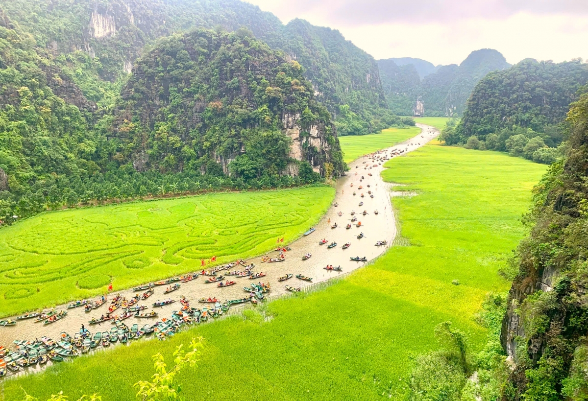 Cánh đồng lúa chín tạo nên khung cảnh nên thơ và đầy ấn tượng. Ảnh: BTC