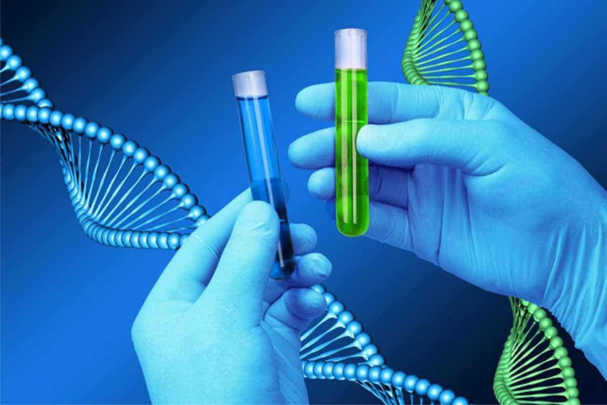 Xét nghiệm gene giúp phát hiện sớm bệnh di truyền để sinh con khỏe mạnh
Ảnh: Internet