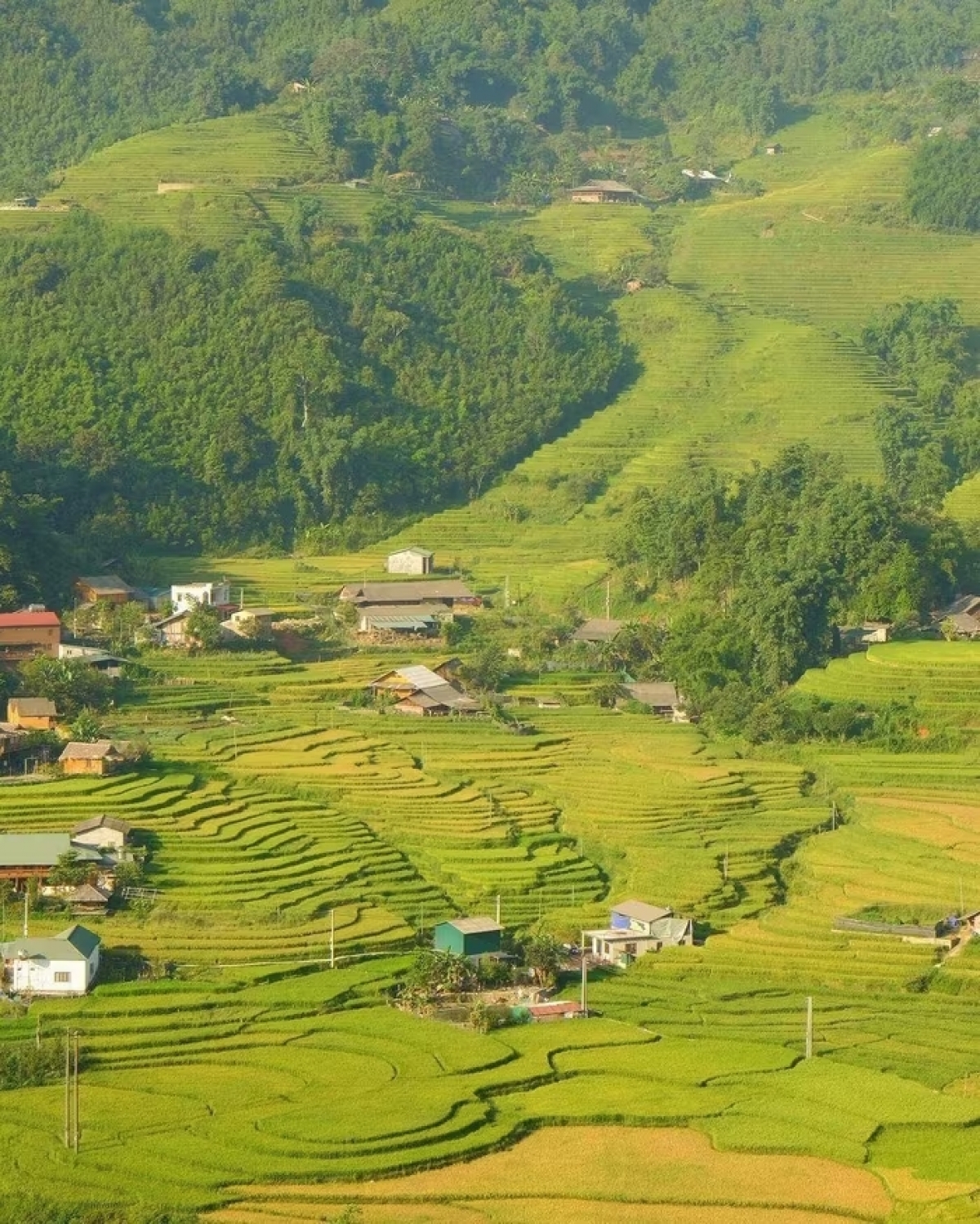 Thời điểm lý tưởng để ghé thăm Tả Van là từ tháng 3 đến tháng 5 – mùa nước đổ với ruộng bậc thang như gương trời – và từ tháng 9 đến tháng 11 khi mùa lúa chín nhuộm vàng cả thung lũng. (Ảnh: Bùi Quang Thụy)