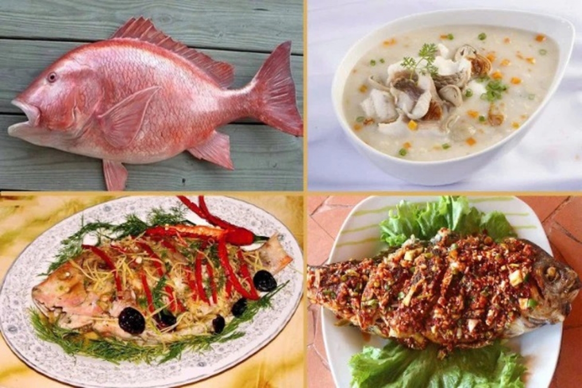 Các loại cá biển chứa ciguatoxin là các loài cá ở rạn san hô: cá nhồng, cá hồng, cá chình, cá tầm, cá cháo, cá cam, cá mú, cá mó, cá vược (Ảnh: Internet)