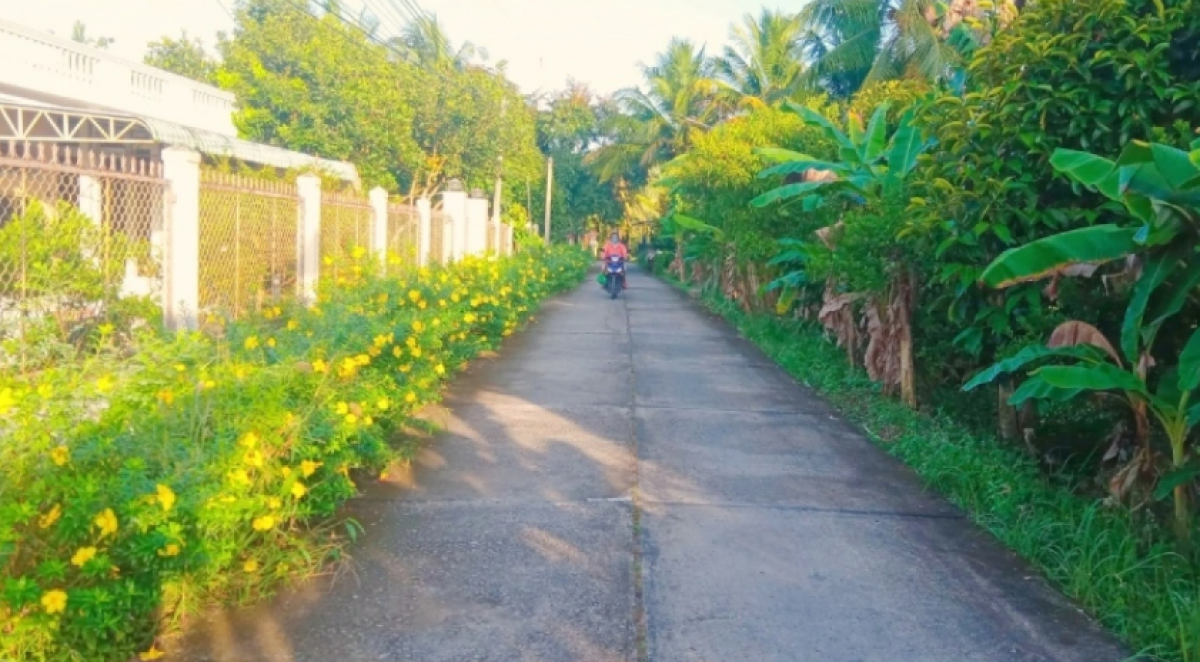 Người cao tuổi chung tay xây dựng những con đường hoa ở nông thôn (Nguồn: VOV)