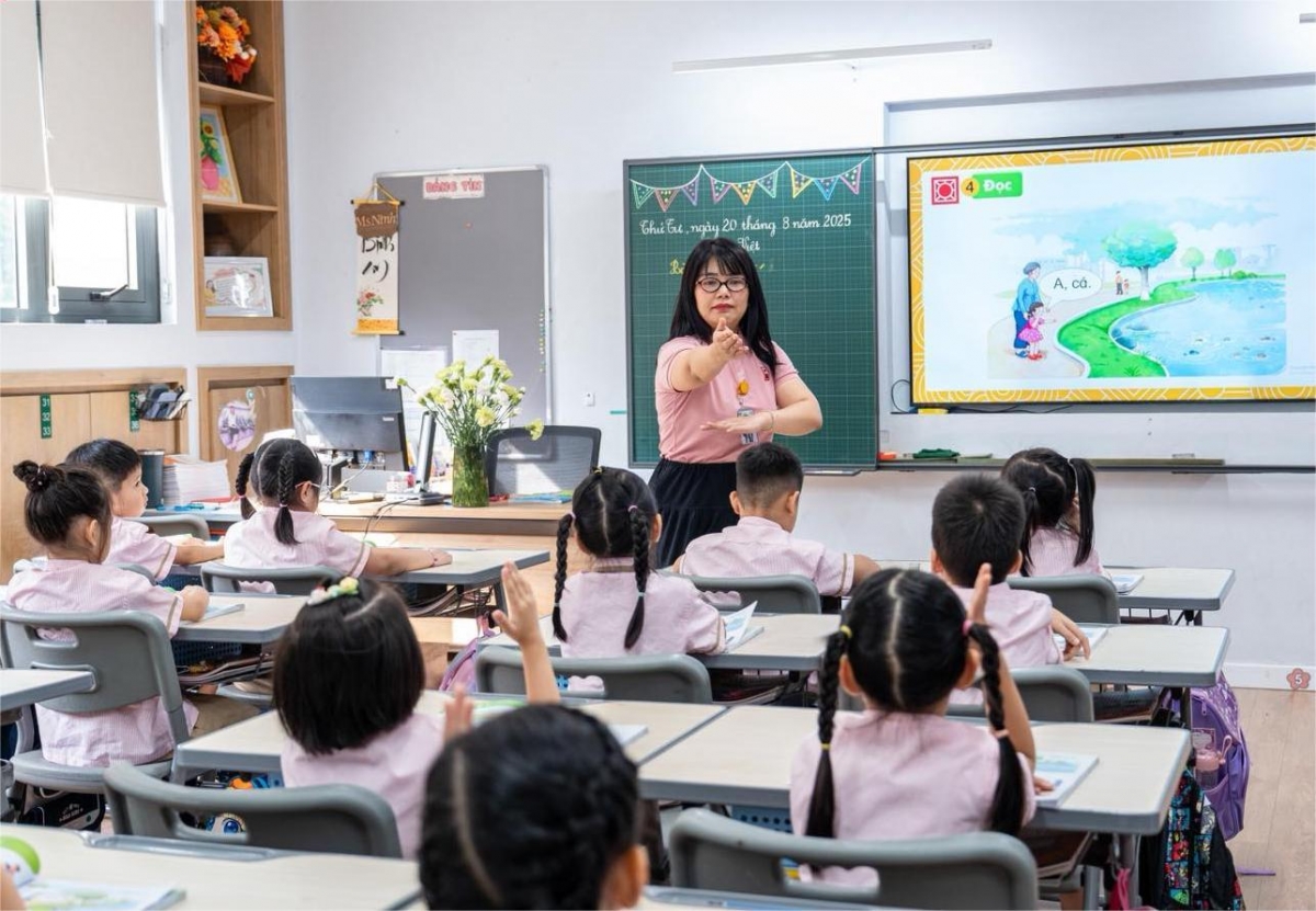 (Ảnh minh họa: Trường Ngôi sao Hoàng Mai)