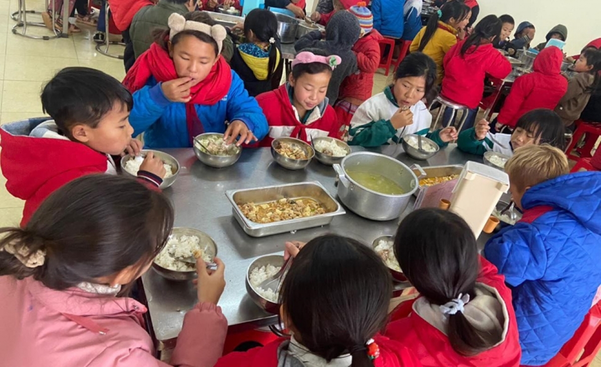 Cần có khung pháp lý đủ mạnh để chuẩn hóa bữa ăn học đường. Ảnh: Báo Chính phủ