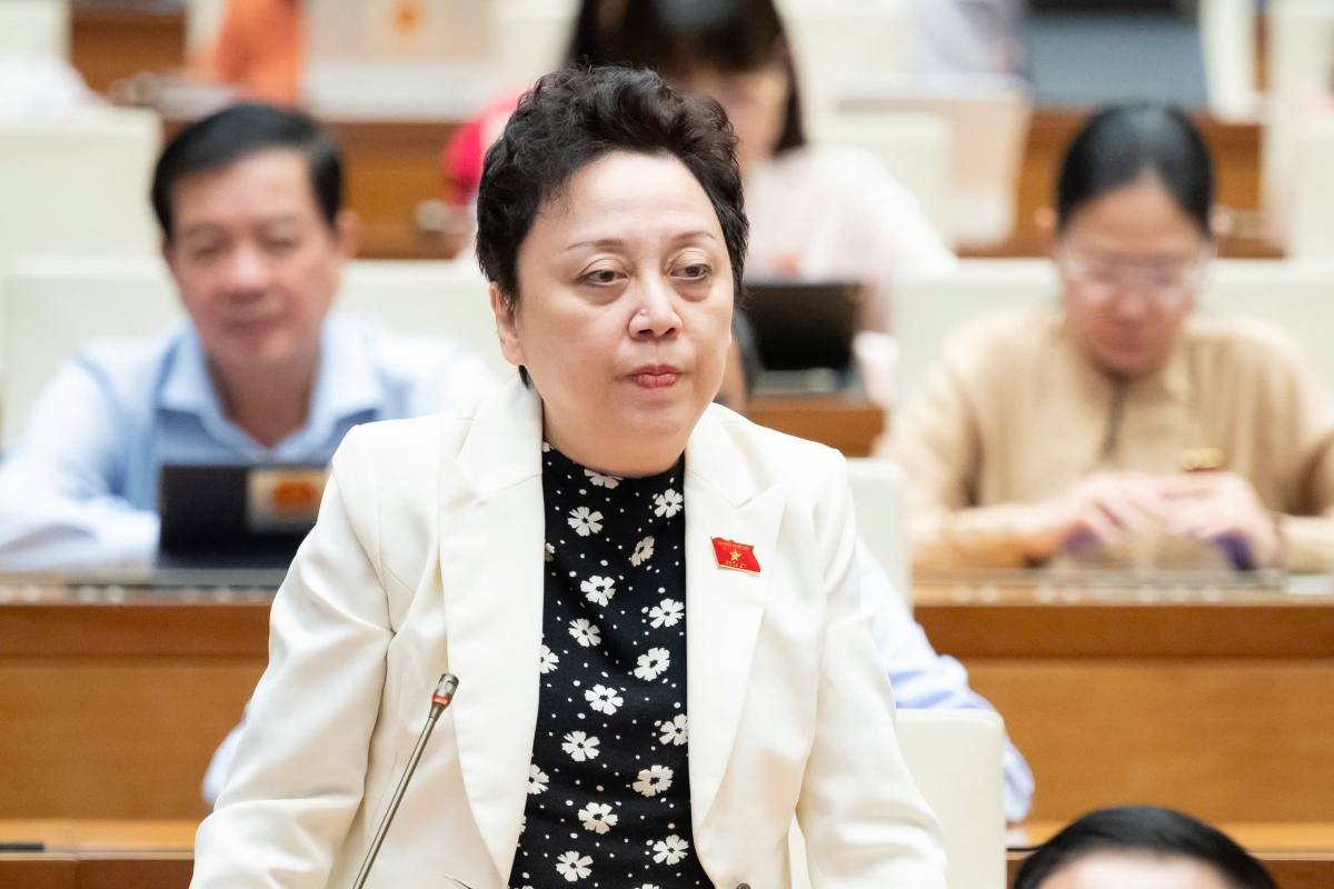 Đại biểu Phạm Khánh Phong Lan (Đoàn ĐBQH thành phố Hồ Chí Minh)