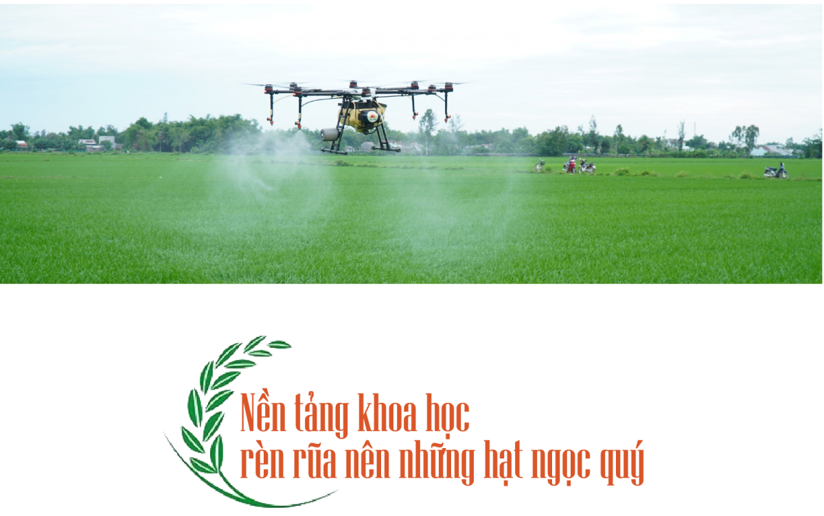 Drone phun thuốc cho lúa trên cánh đồng của tập đoàn Lộc Trời. Ảnh: Tạp chí Công Thương