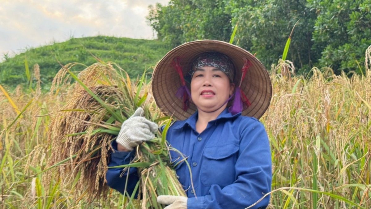 Chị Mai Thị Hạnh, một xã viên của Hợp tác xã 3T nông sản Cao Phong (Ảnh: NVCC)