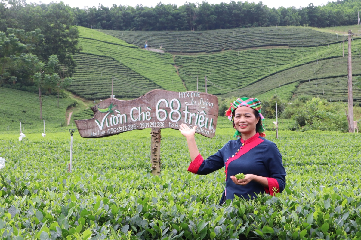 Bà Nguyễn Thị Hải, Chủ tịch HĐQT HTX chè La Bằng (Ảnh: NVCC)