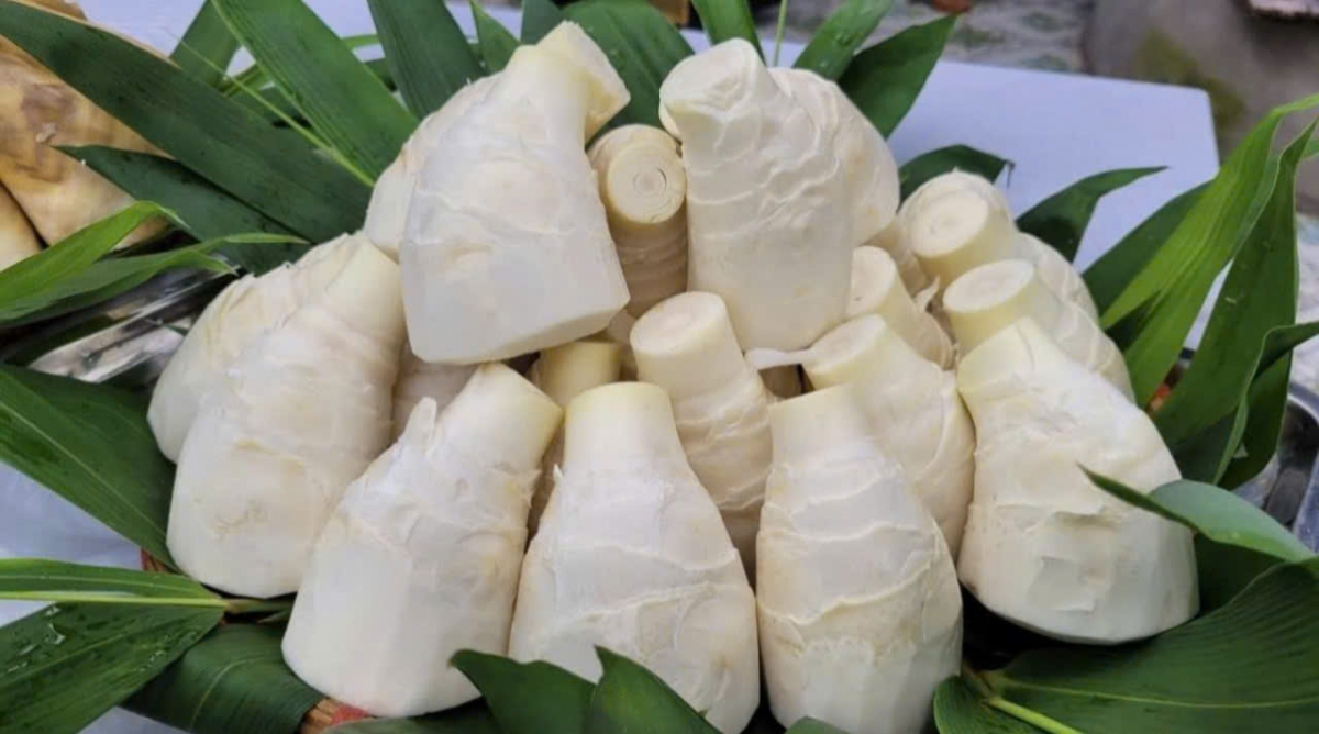 Những củ măng có thể ăn ngay, không cần qua sơ chế. Ảnh: HTX cung cấp